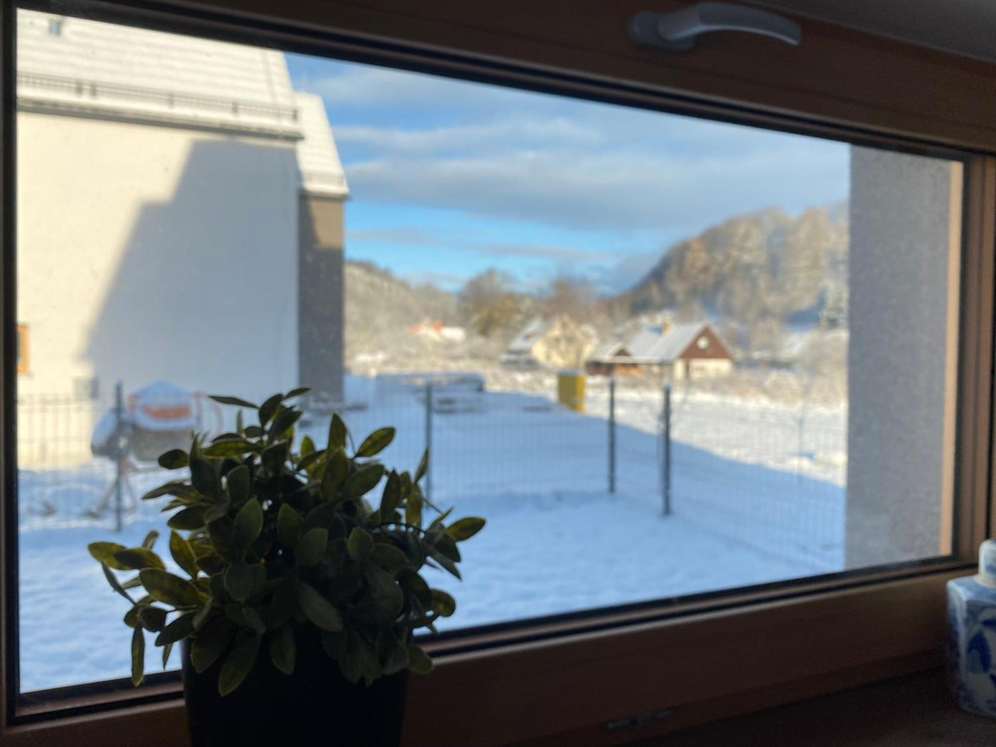 Villa Monte Apartament Z Ogrodem Kudowa-Zdrój Exteriör bild